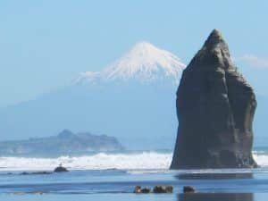 Psychic readings in wellington