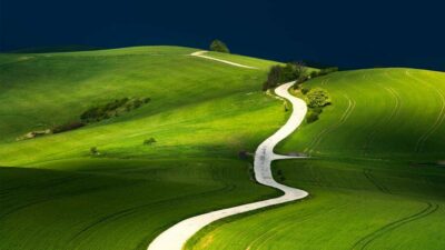 psychic lifepath readings Psychic Lifepath Readings